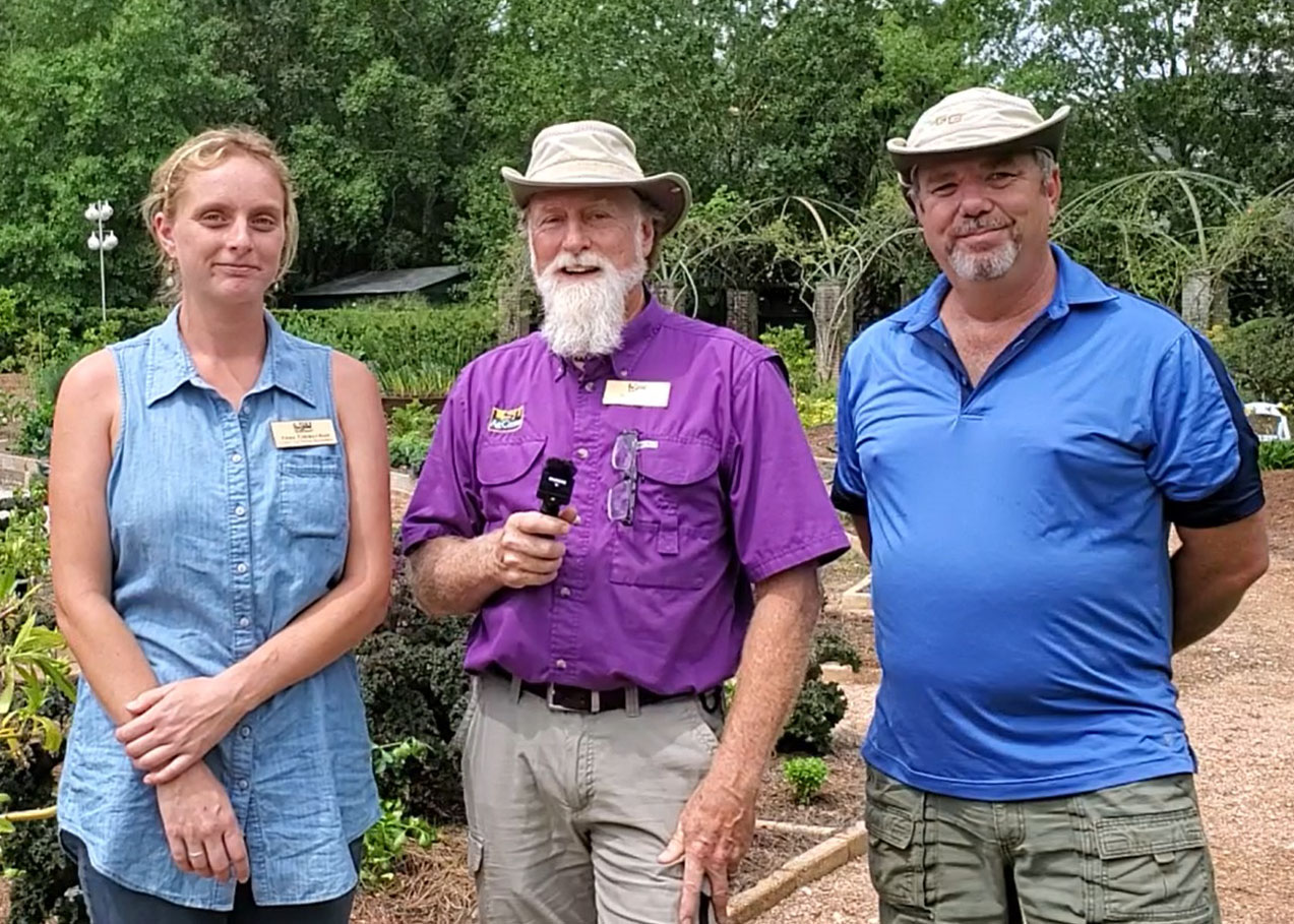 AgCenter gardening course reaches more than 35,000 
